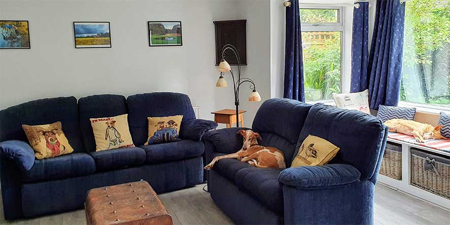 Lounge (looking towards window seat) Lounge (looking towards window seat)