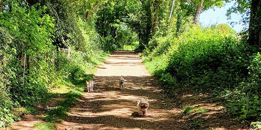 Lane round the corner Lane round the corner
